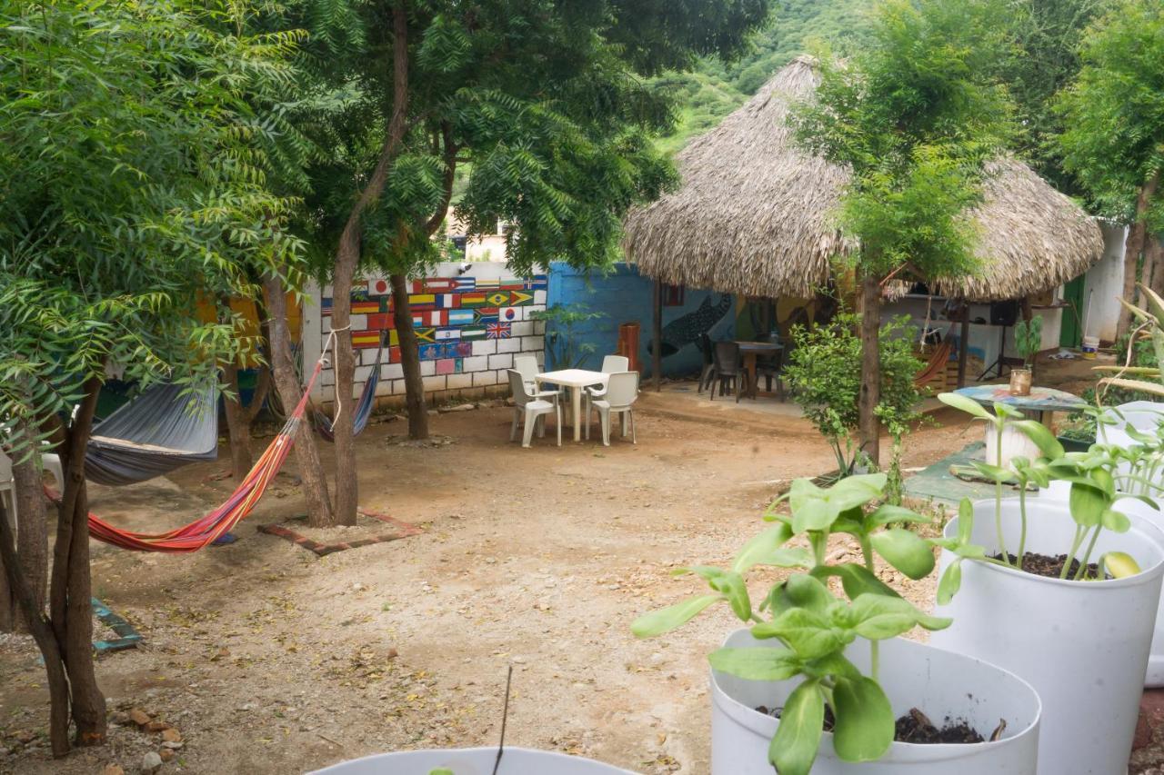 Hostel Hipilandia Taganga Extérieur photo