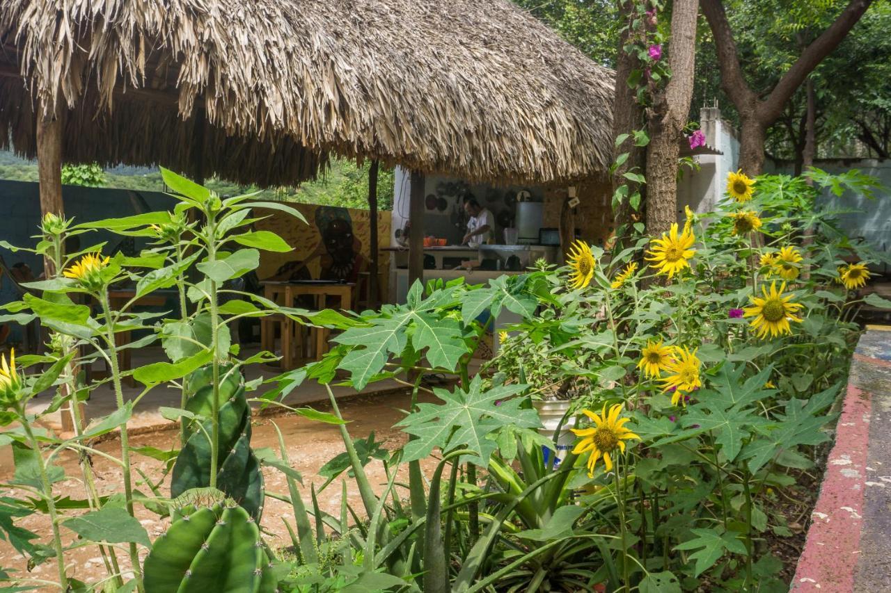 Hostel Hipilandia Taganga Extérieur photo